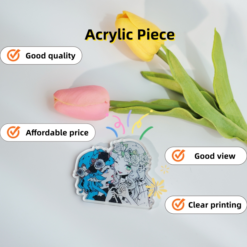 1pc Custom Double-Layer Acryli - Photo Acrylic Block review and price